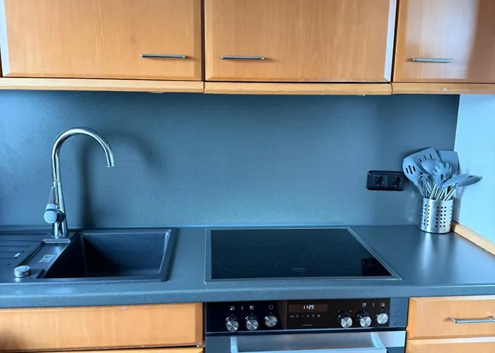 Moselapartment Leni Mit Traumhaftem Ausblick Auf Coblenza